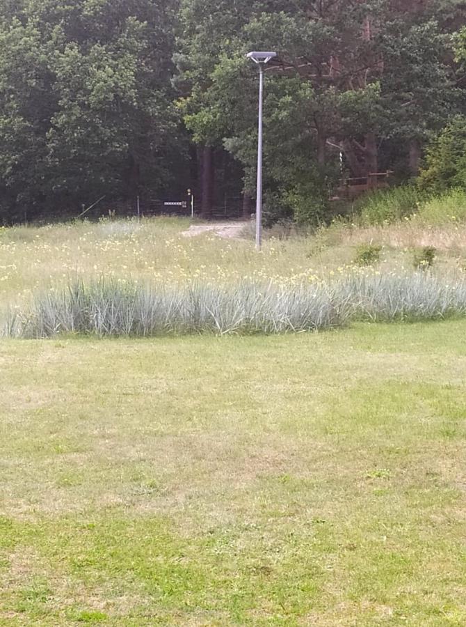 Smoldzinski Forest Smoldzinski Las Eksteriør billede